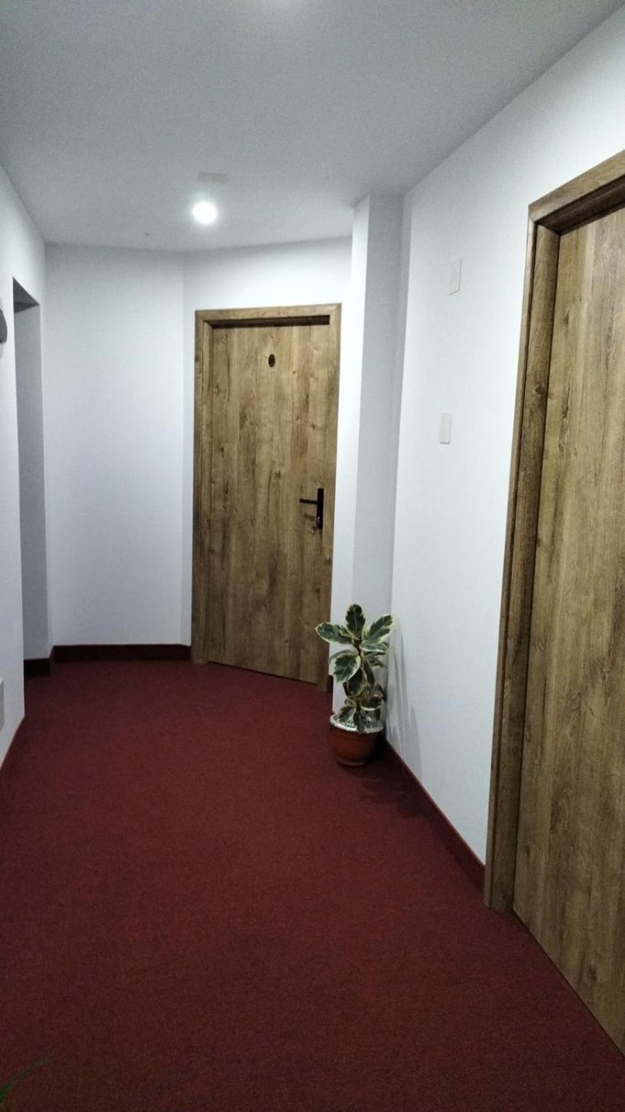 Pensiune Stirbu Borşa Esterno foto