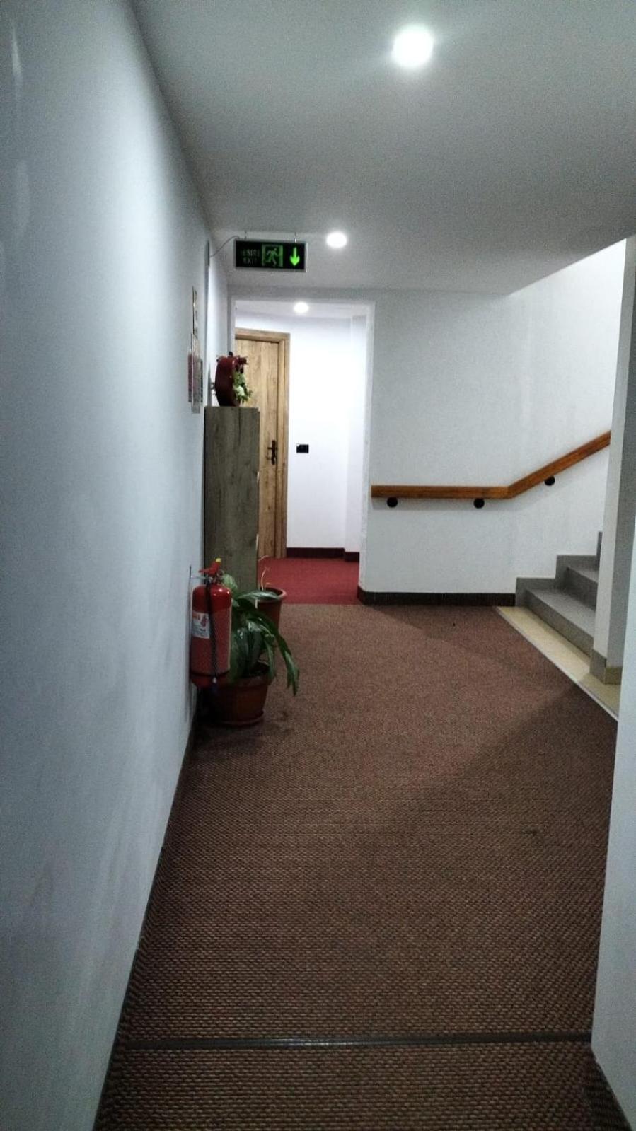 Pensiune Stirbu Borşa Esterno foto